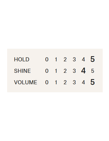 REF - № 545 Hold & Shine - hårspray...