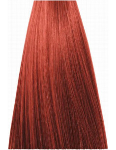 Inebrya BIONISK FARVE 6/66...