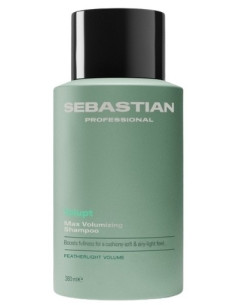 Sebastian professionel...