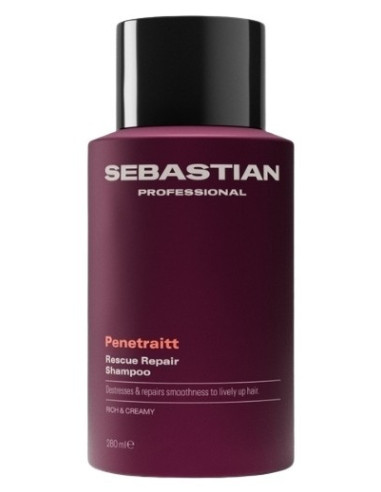 Sebastian professionel PENETRAITT...