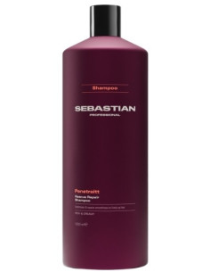Sebastian professionel...