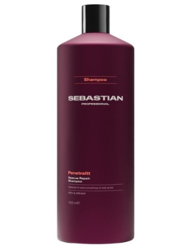 Sebastian professionel PENETRAITT...