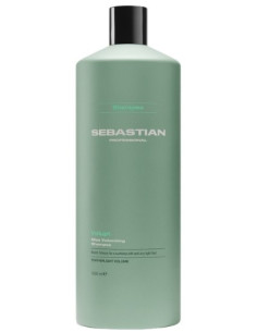 Sebastian professionel...