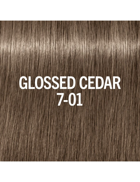 BLONDME Glow Toner 7-01 Glossed Cedar 60ml