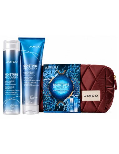 JOICO Moisture Recovery Dreamscape...