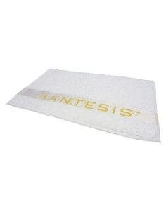 Hantesis ACCESSORIES...