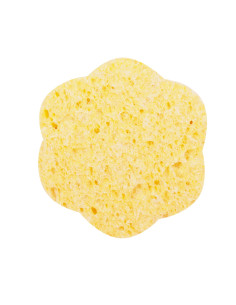 Svamp, cellulose, blomst,...