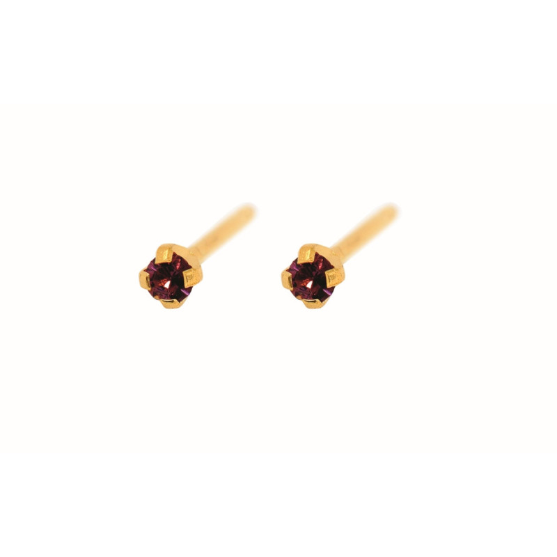 Fashion Sense Earrings G/P 2MM AMETHYST TIF pair