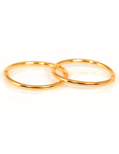 Fashion Sense Øreringe G/P...