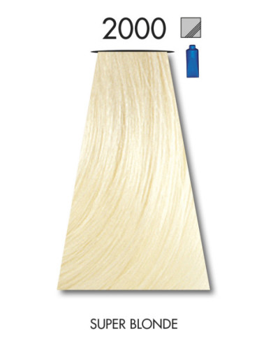 FARVE 2000 BLÆK 60 ml
