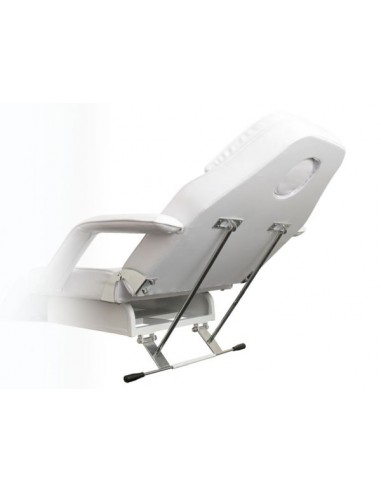 Kosmetologleje med 1 motor Palm