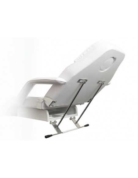 Kosmetologleje med 1 motor Palm