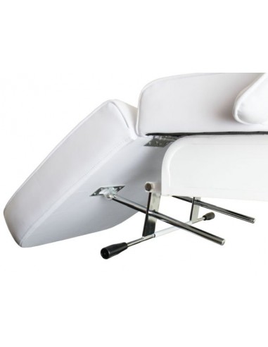 Kosmetologleje med 1 motor Palm