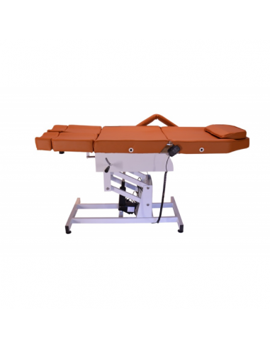 Pedicure-sofa med 2 motorer Palm II