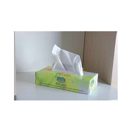 Kosmetikservietter, papir 2-lags, hvide, 100 stk.