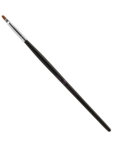 Læbebørste, professionel,...