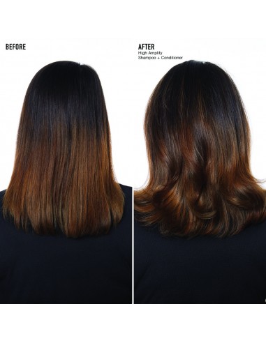 HIGH AMPLIFY LET SHAMPOO MED...