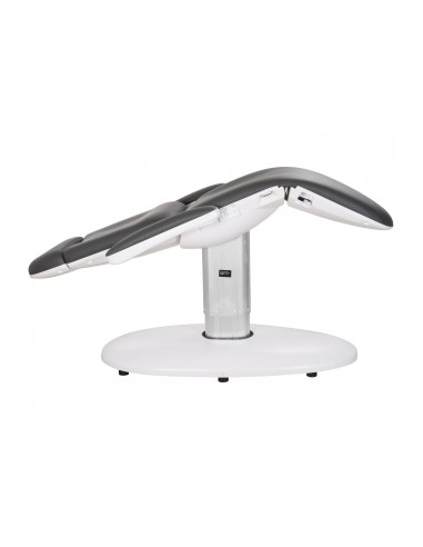 Kosmetologleje med 3 motorer Cosmo, Grå