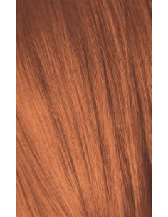 IGORA ROYAL 8-77 gaiši...