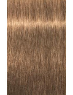 IGORA ROYAL Absolutes 8-50...