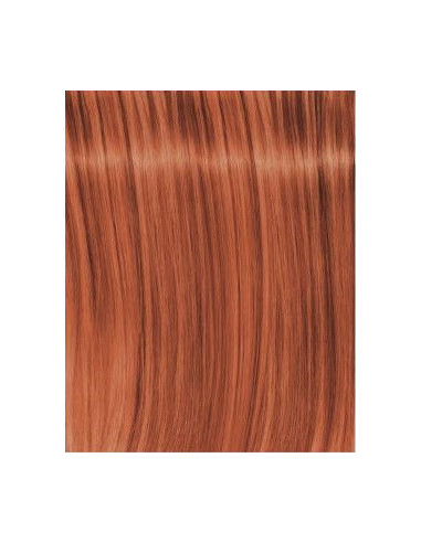 Schwarzkopf Igora Royal L-77 modelys