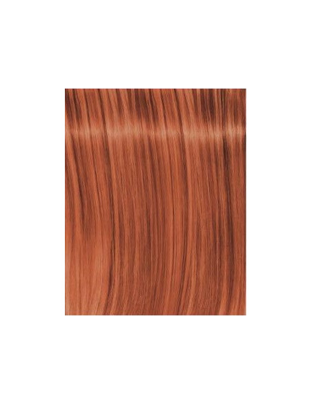 Schwarzkopf Igora Royal L-77 modelys