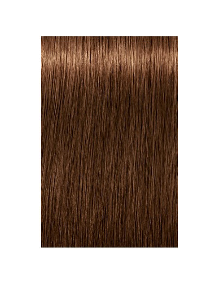 IGORA ROYAL Absolutes 6-460 60ml
