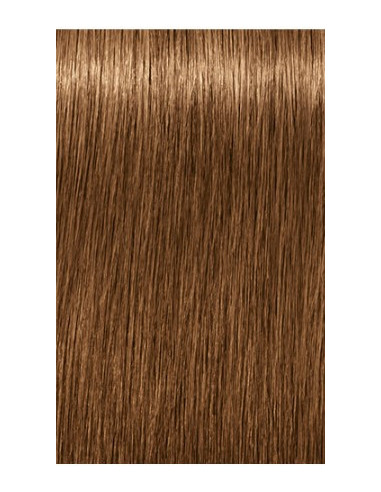 IGORA ROYAL Absolutes 7-450...