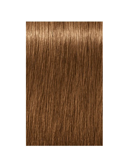IGORA ROYAL Absolutes 7-450 permanenta krāsa sirmu matu krāsošanai 60ml