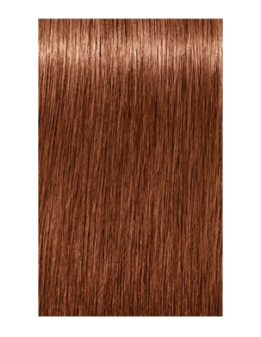 IGORA ROYAL Absolutes 7-560...