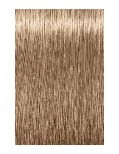 IGORA ROYAL Absolutes 8-140...