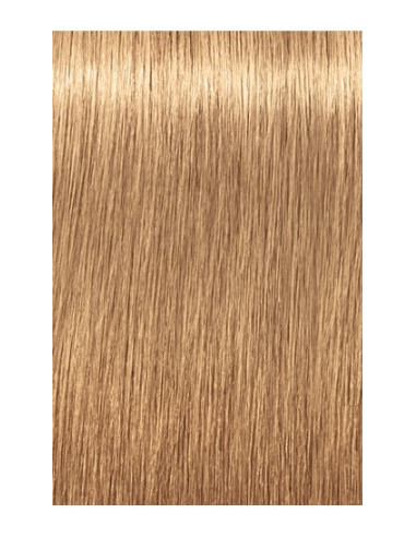 IGORA ROYAL Absolutes 9-560...