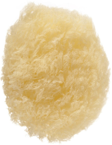 Svamp, naturlig, oval form 1 stk.