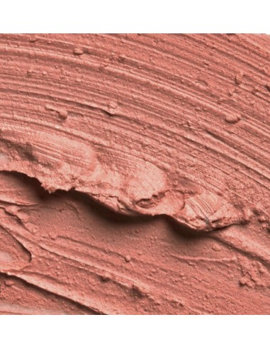 SLA PARIS Pro læbestift - Nude Pink