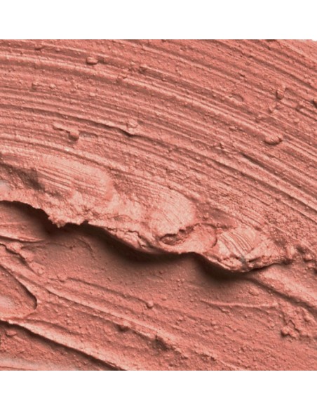 SLA PARIS Pro læbestift - Nude Pink