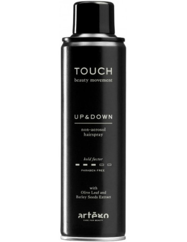 Artego Touch Up & Down hårspray 250ml