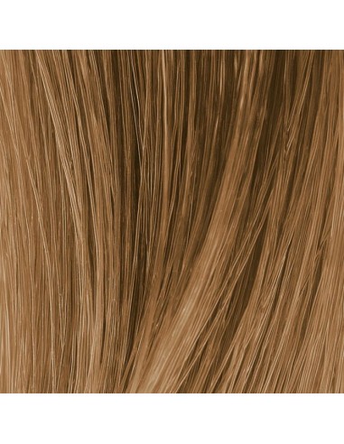SOCOLOR PRÆBUNDET 8G 90ml