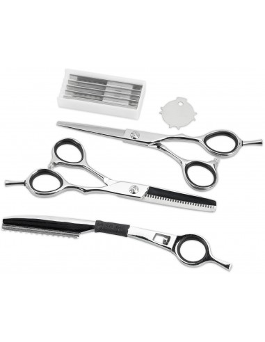 Sæt originale sakse 5,5''...