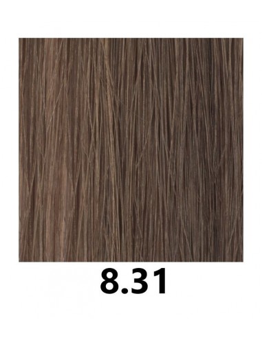 FARVETØJ 8.31