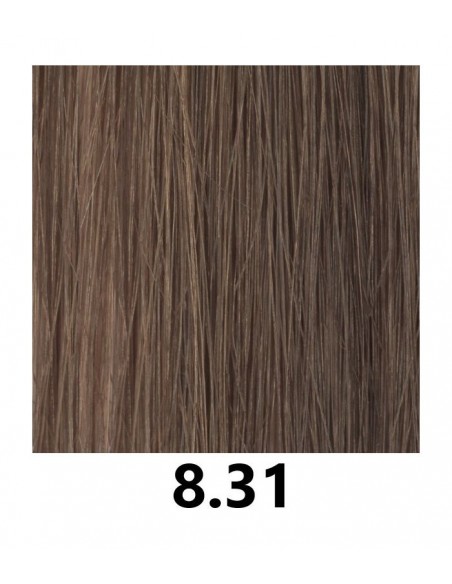 FARVETØJ 8.31