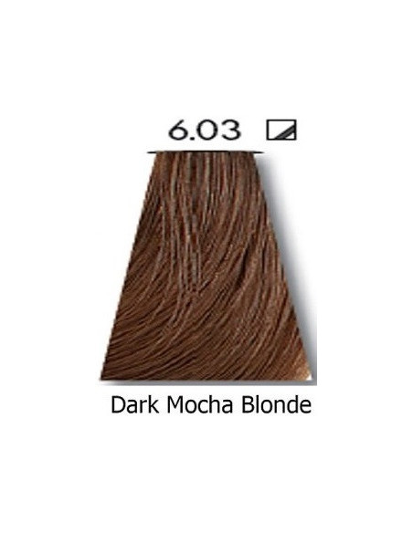BLÆKFARVE 6,03 60 ml