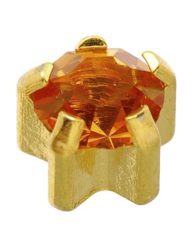 24 karat Z november øreringe i...