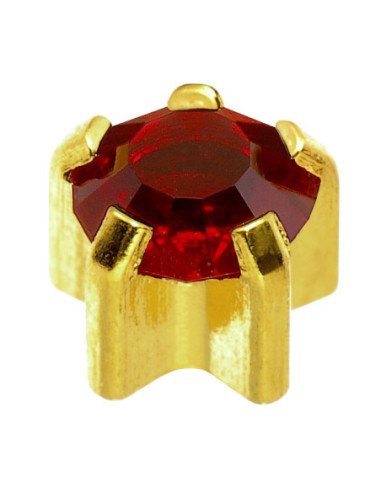 24 karat Z januar øreringe i...