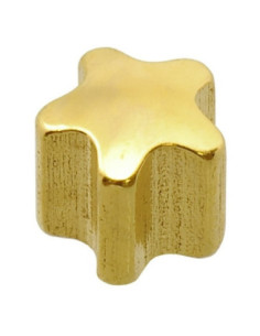 24ct Z MINI Star øreringe,...