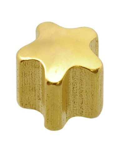 24ct Z MINI Star øreringe, form, par