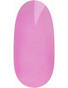 Quick Builder DÆKBASE...