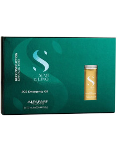 Semi di Lino Rekonstruktion...