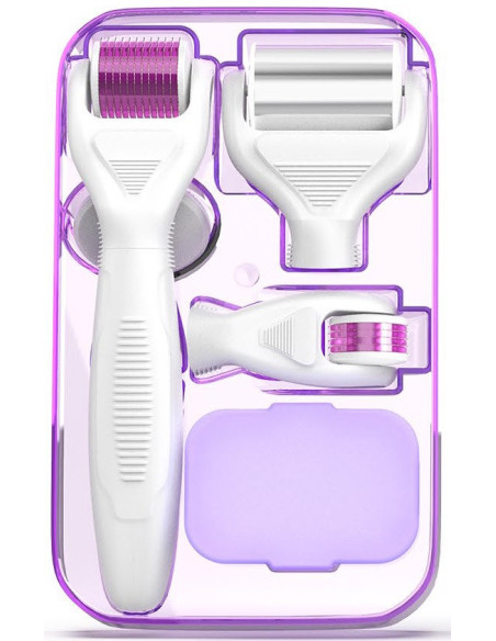 Derma roller microneedling-enhed, 6 i 1, ICE