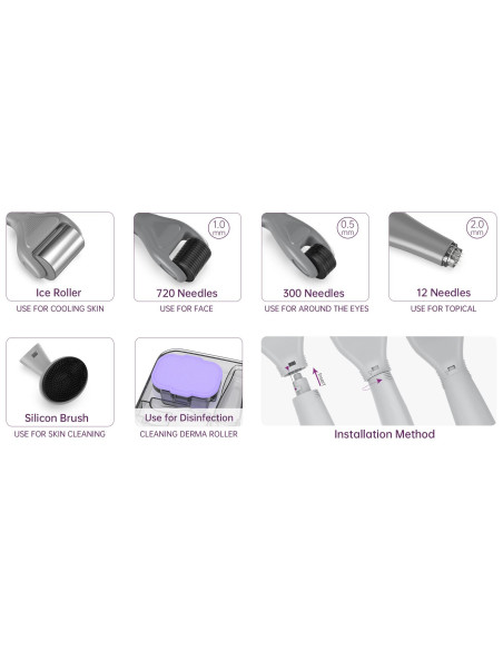 Derma roller microneedling-enhed, 6 i 1, ICE