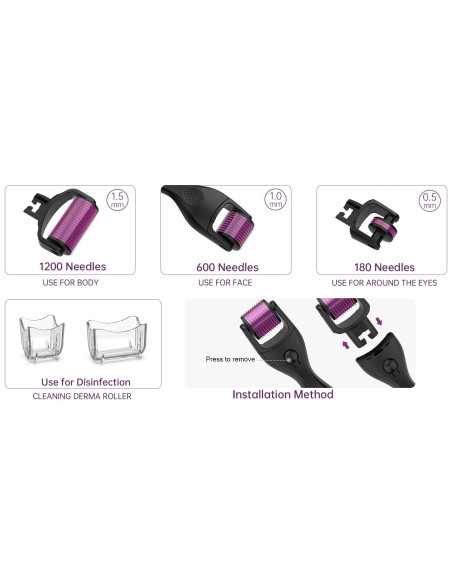 Derma roller microneedling-enhed, 3 i 1, SØLV